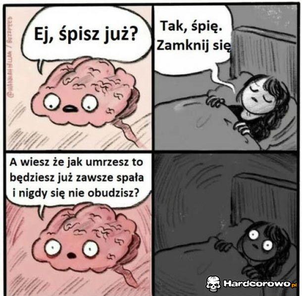 Mój mózg - 1
