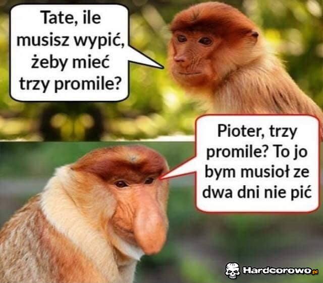 Janusz ma genialną odpowiedź - 1