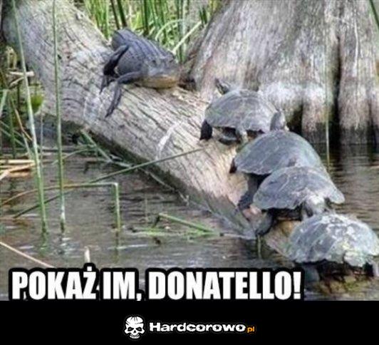 Donatello - 1