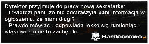 Dyrektor przyjmuje do pracy nową sekretarkę - 1