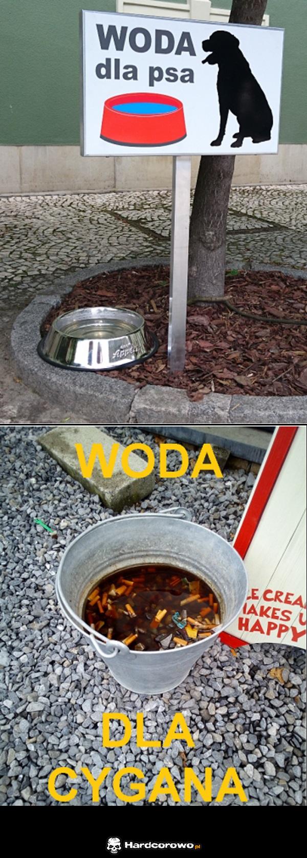 Woda dla czworonoga - 1