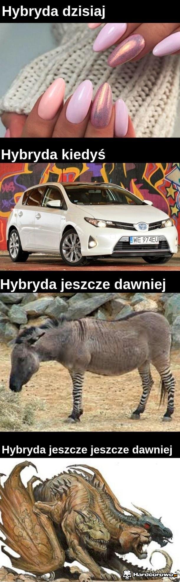 Hybryda - 1