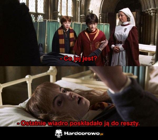 Harry - 1