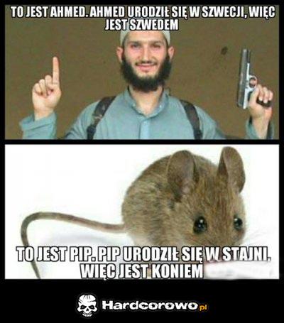 No cóż - 1