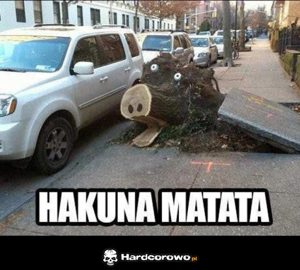Hakuna matata - 1