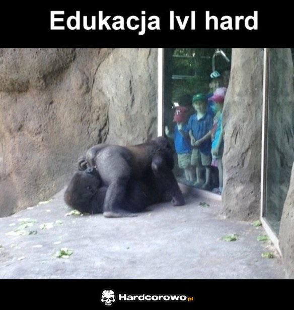 Wychowanie do życia w rodzinie - 1