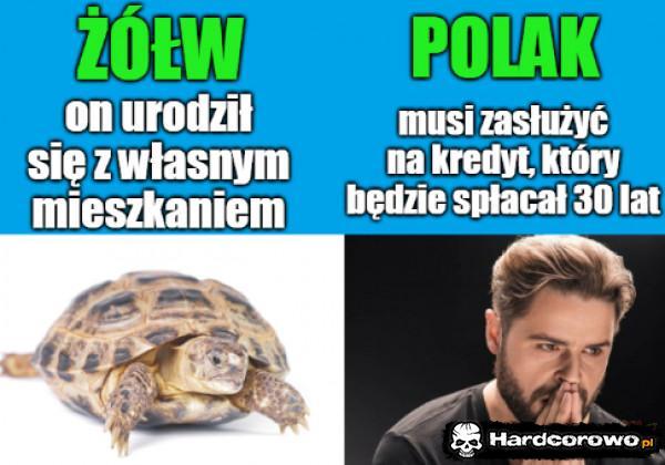  - 1