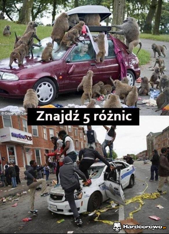 Znajdź różnicę - 1