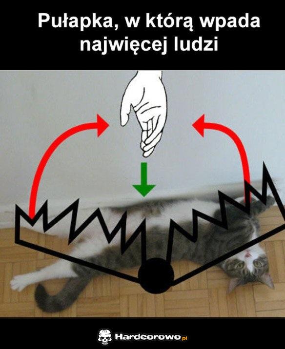 Zabójcza pułapka - 1