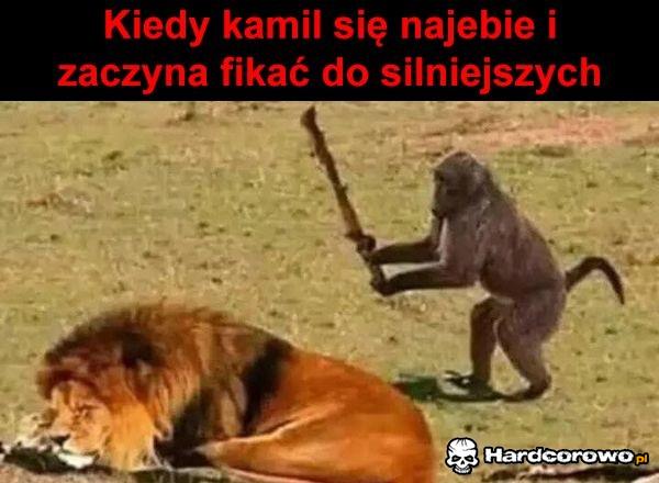 Kamil, nie - 1