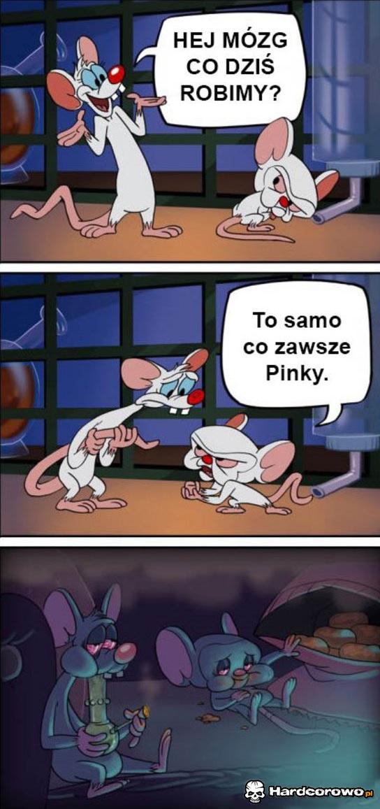 Pinki i mózg - 1