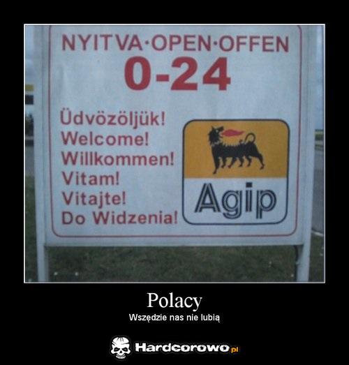 Polacy - 1