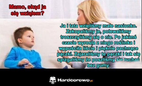 Piękna historia - 1