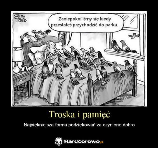 Troska i pamięć  - 1