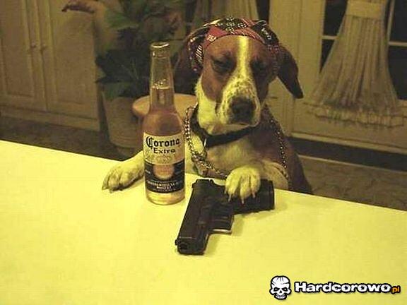 Gangsta pies - 1