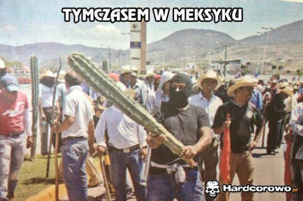 Tym czasem w meksyku - 1