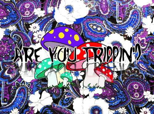 Are you trippin? - 1