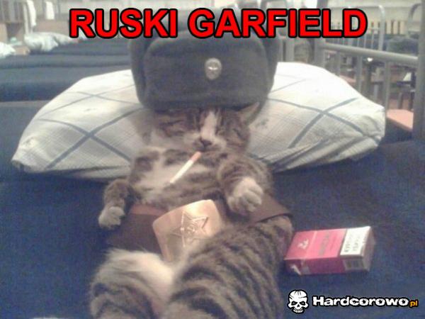 Garfield - 1