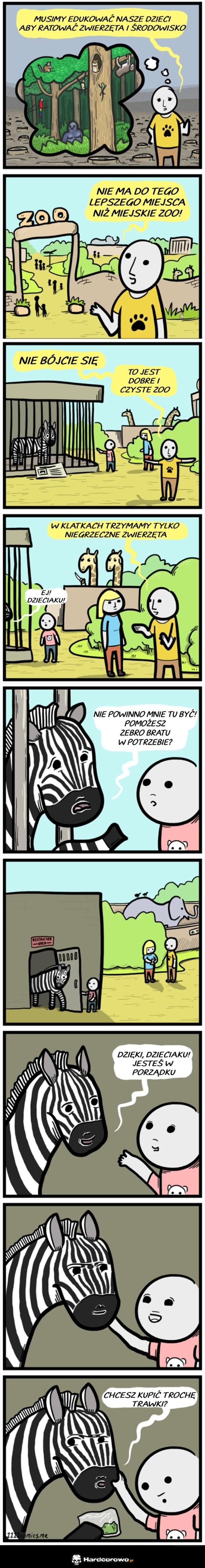 Zoo - 1