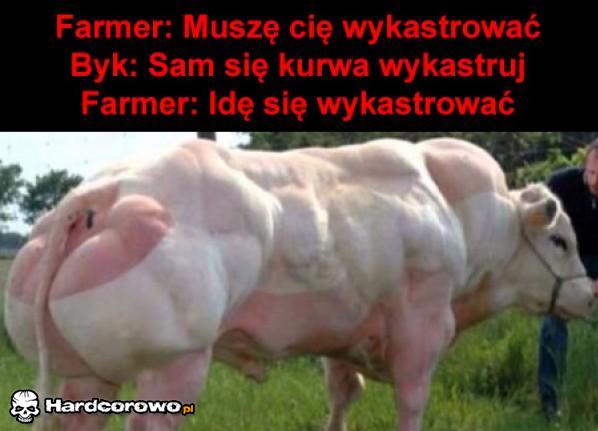 Byk i farmer - 1