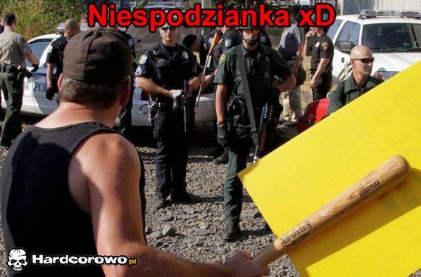Niespodzianka - 1