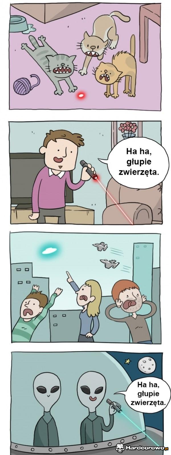 Głupie zwierzęta - 1