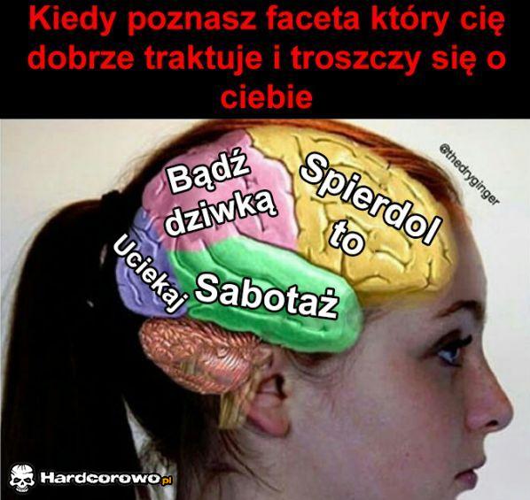 Mózg kobiety  - 1