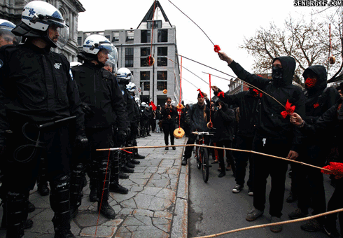 Drażnienie psów - 1