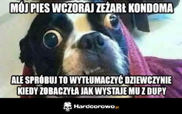 I weź tu wytłumacz - 1