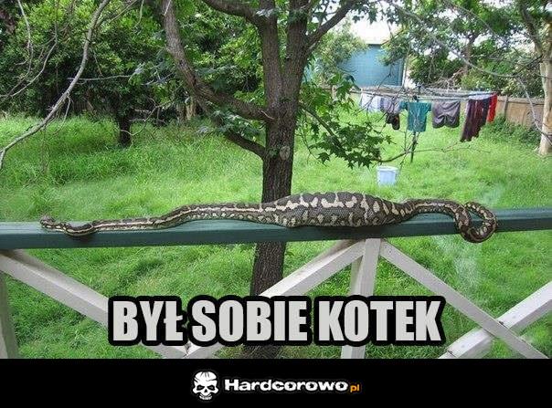 Był sobie kotek - 1