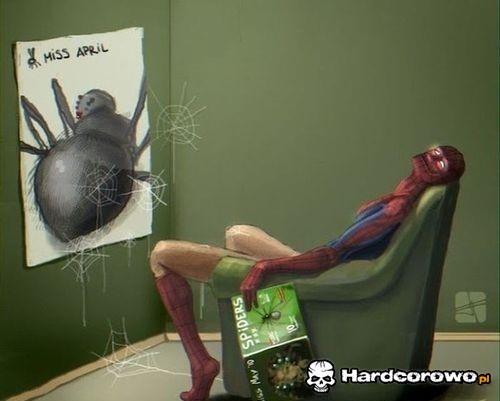 Spider po godzinach - 1