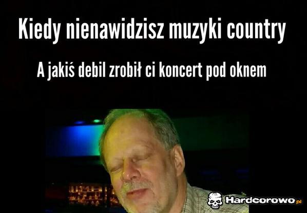 Koncert country - 1