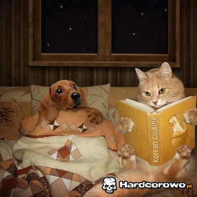 Kot czytaj mi bajkę - 1