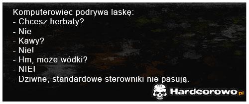 Komputerowiec podrywa laskę - 1