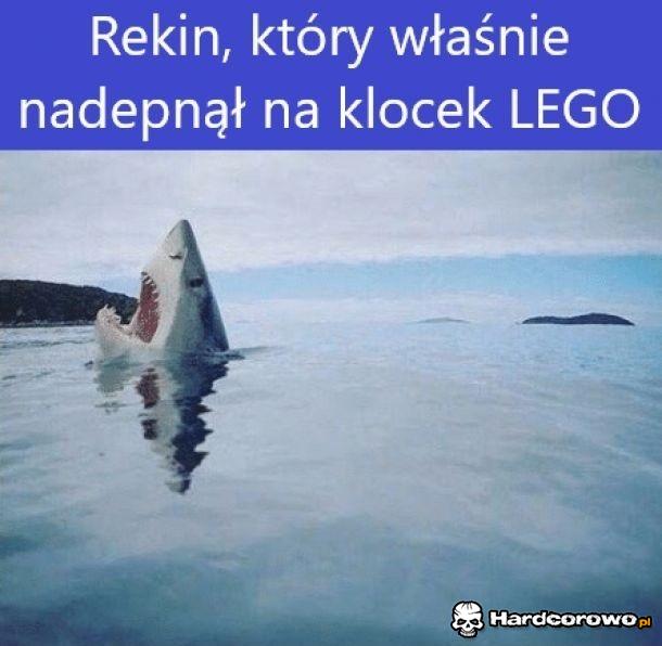 Rekin, które nadepnął na lego - 1
