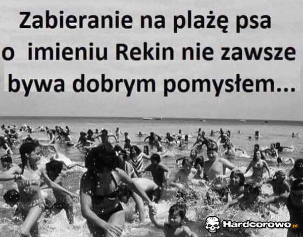 Rekin - 1