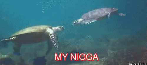 My nigga - 1