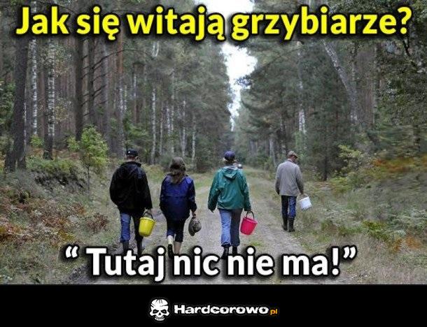 Powitanie grzybiarzy - 1