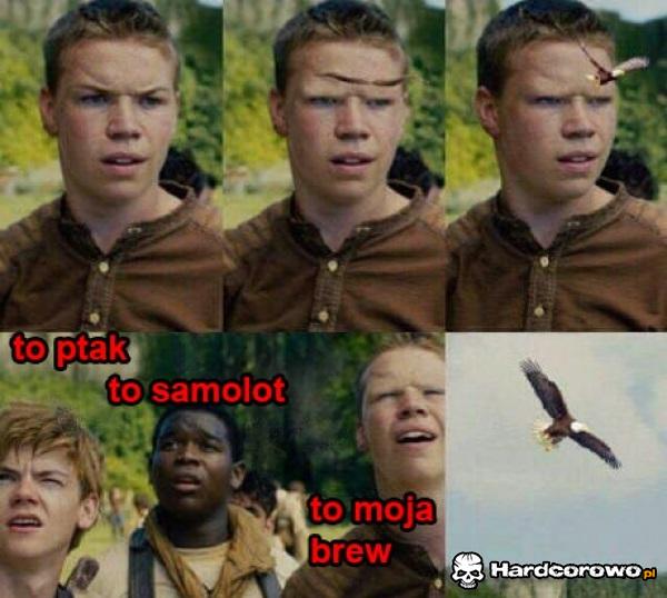 Brew - 1