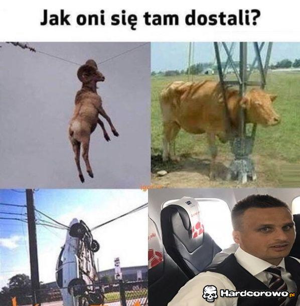 Jak oni się tam dostali? - 1