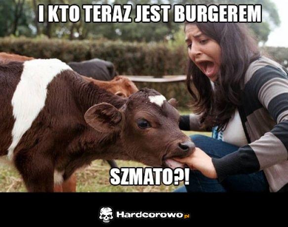 Krowa się wściekła - 1