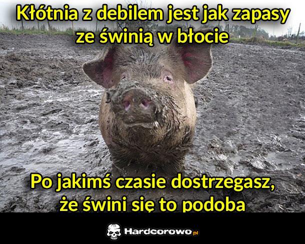 Kłótnia z debilem - 1