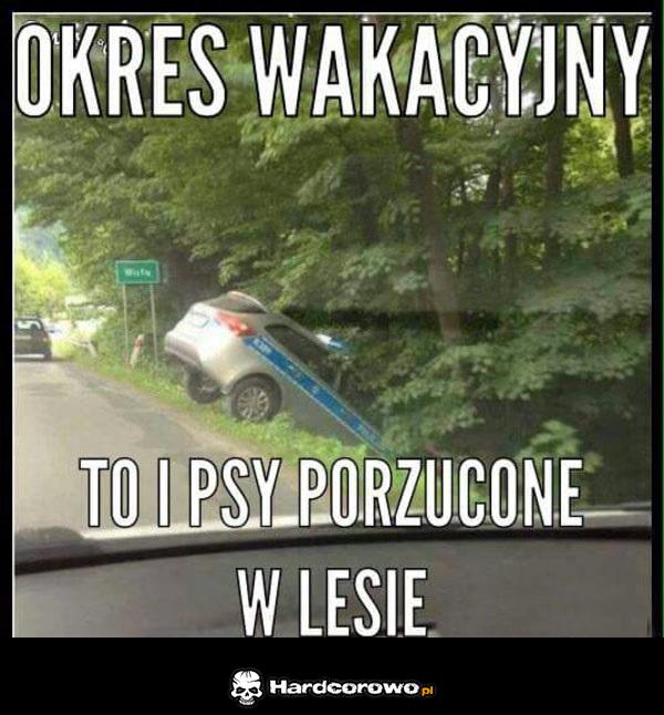 Sezon wakacyjny - 1