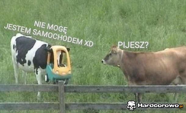 Za każdym razem - 1