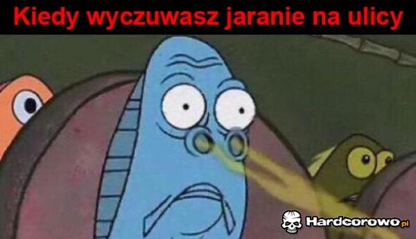 Wyczuwam - 1