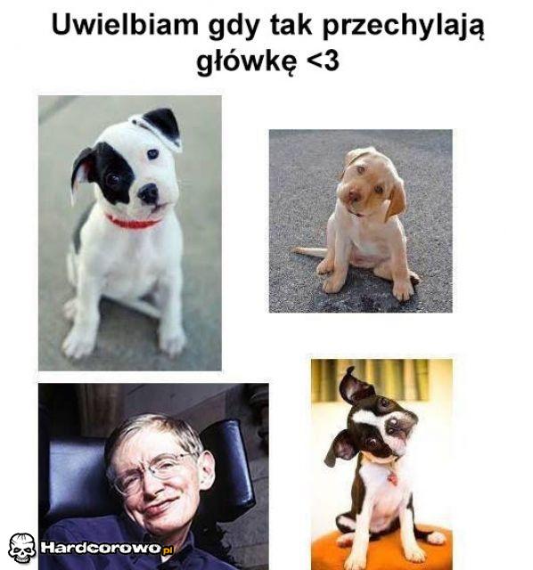 Przechylona główka - 1