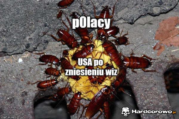 Zniesienie wiz - 1