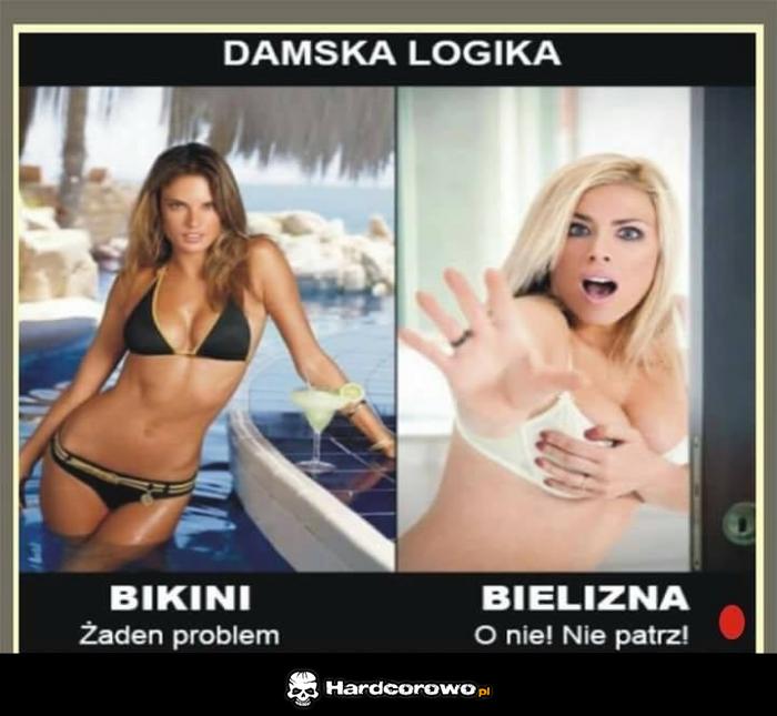 Logika lasek - 1