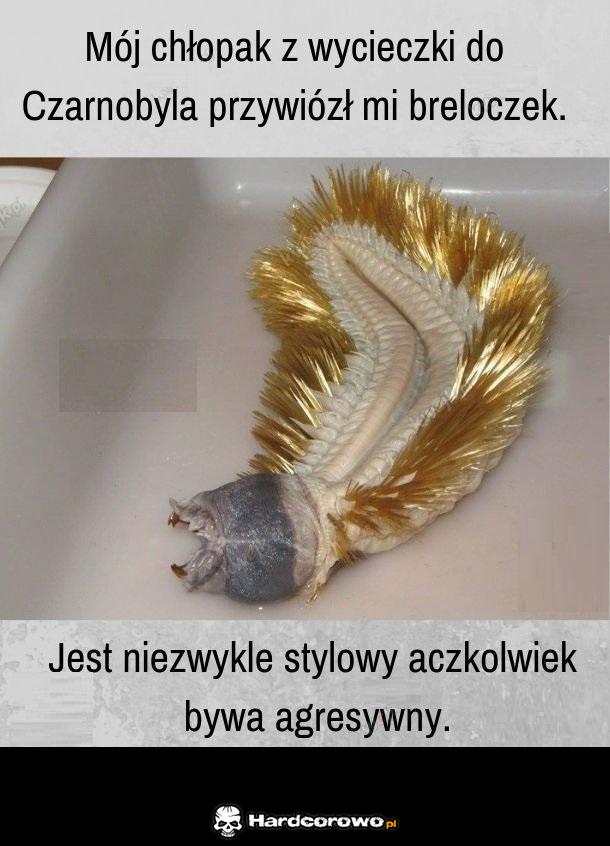 Piekny i funkcjonalny - 1