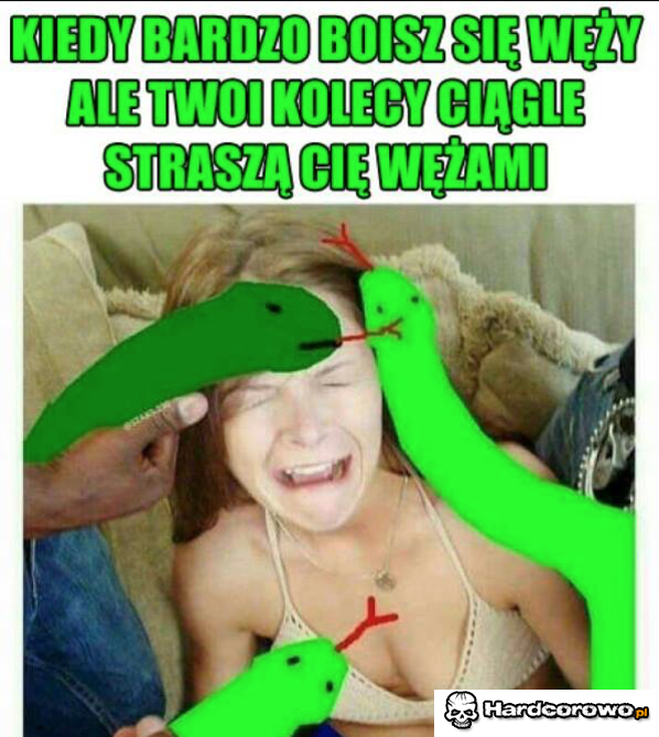 Węże - 1